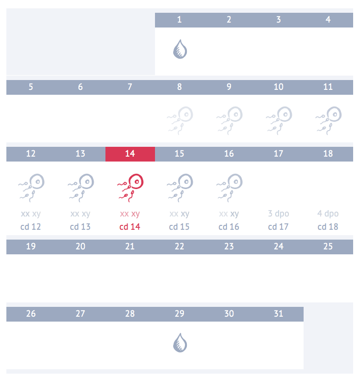 Ovulation calendar (irregular periods)